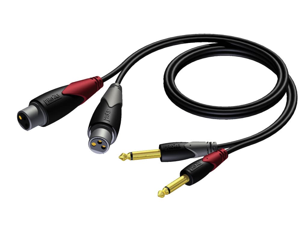 2 x XLR female - 2 x 6.3 mm Jack male mono 2 meter