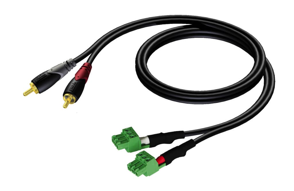 2 x RCA/Cinch - 2 x terminal block (3p - 3.81mm) 1 meter