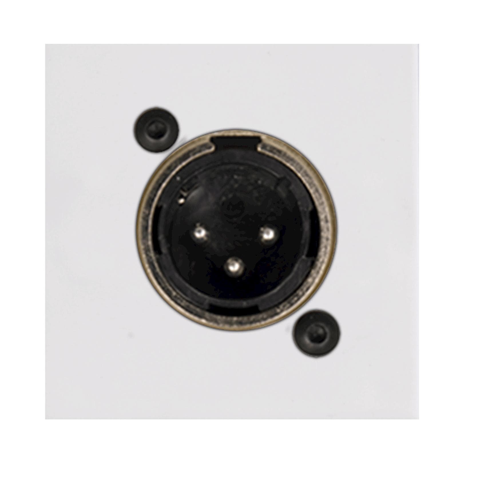 Connection plate XLR male 45 x 45 mm White version