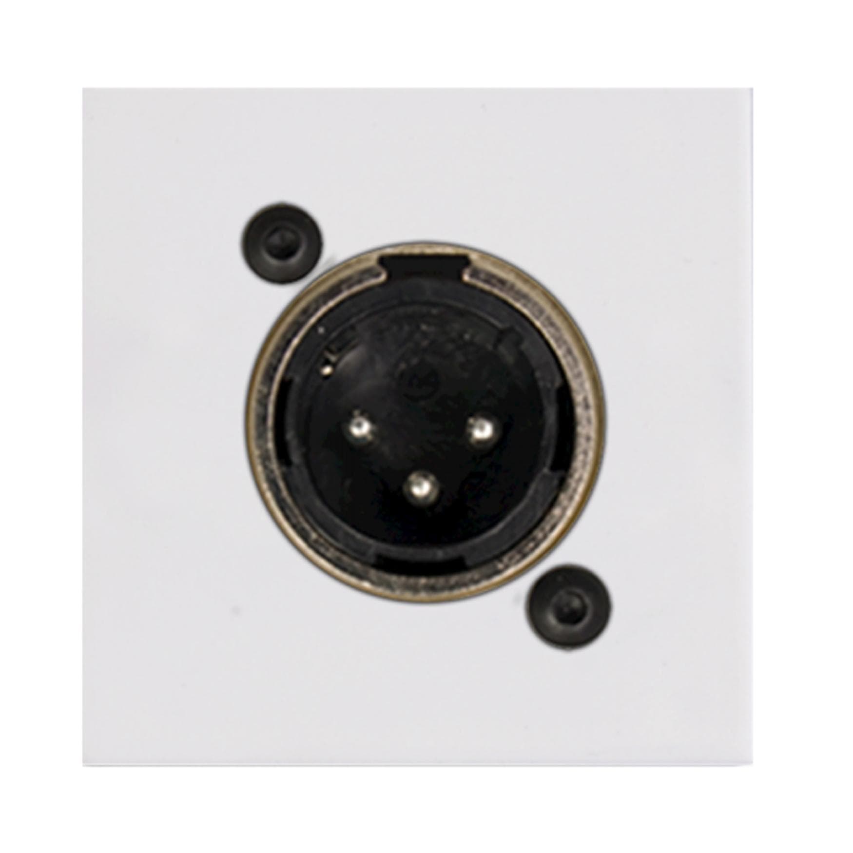 Connection plate XLR male 45 X 45 mm - solderless White