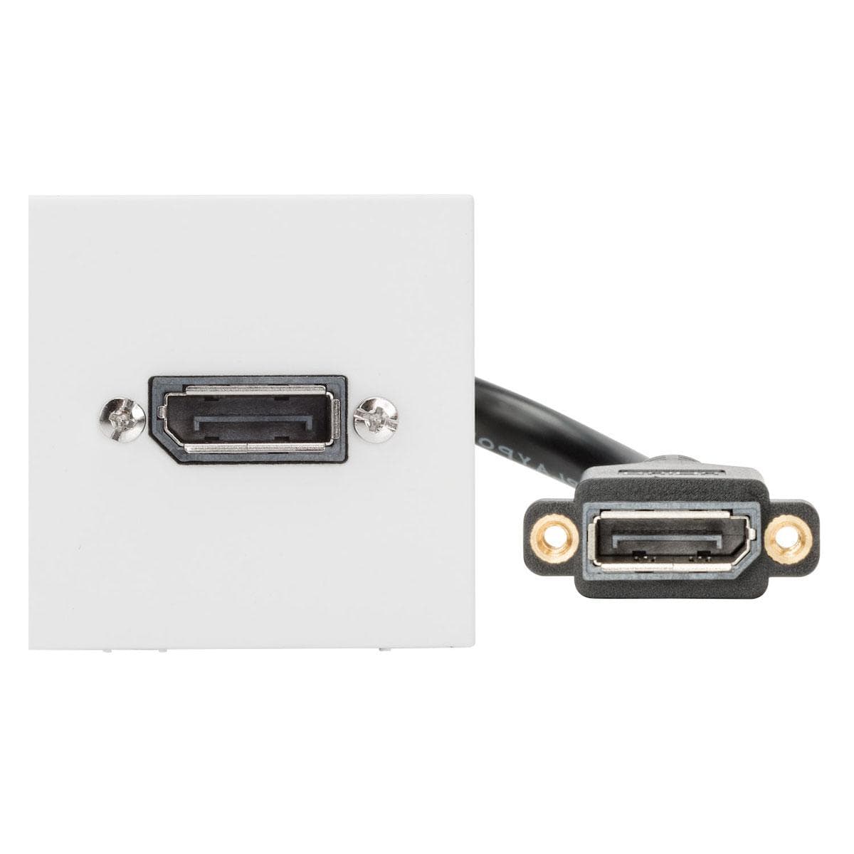 connection-modul DisplayPort fem -.> DisplayPort installation fem 0.15m., scale: 45x45 mm, plastic,