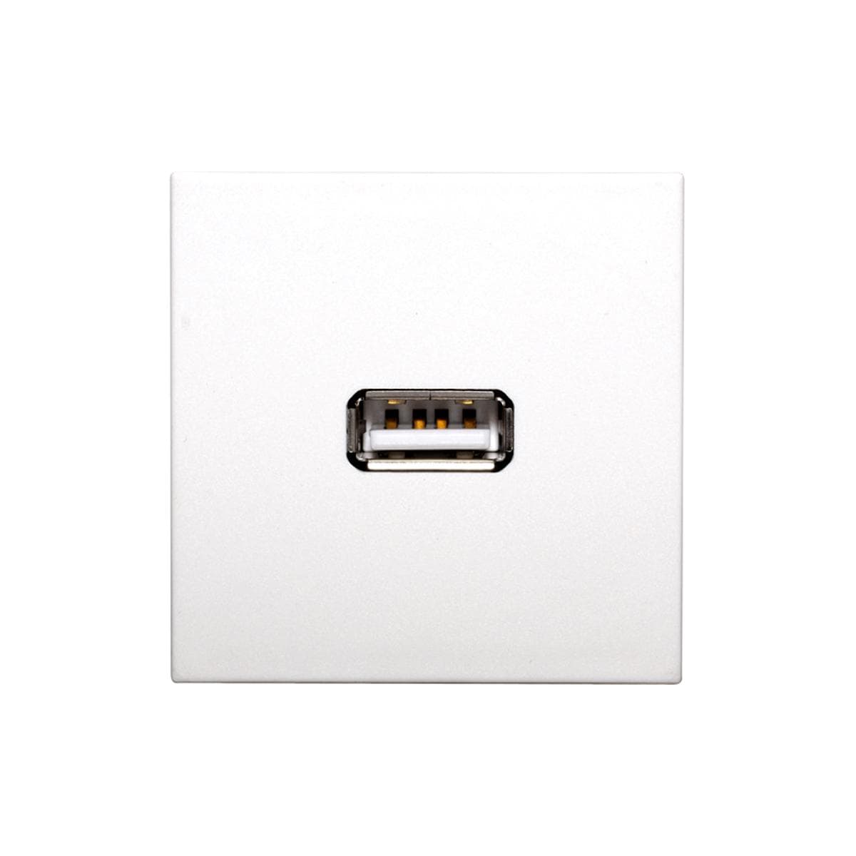 connection-modul USB-A fem. —> Screw terminal, scale: 45x45 mm, plastic, colour: pure white