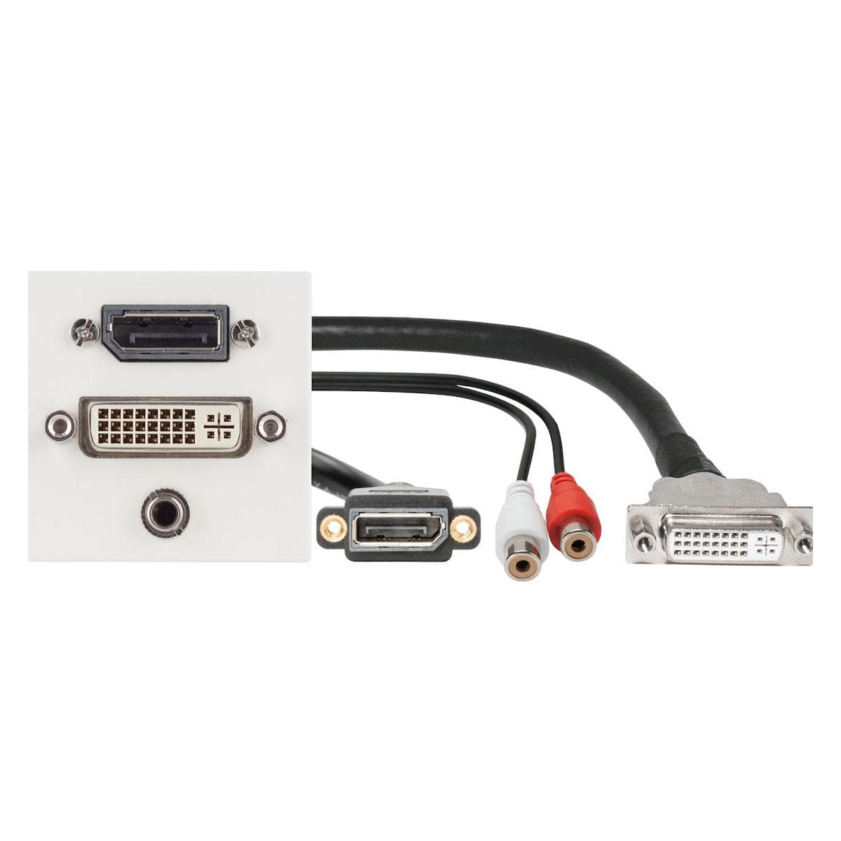 connection-modul Display port fem. —> 0.15 m (0.5 ft.) breakout cable display port fem. + DVI fem.