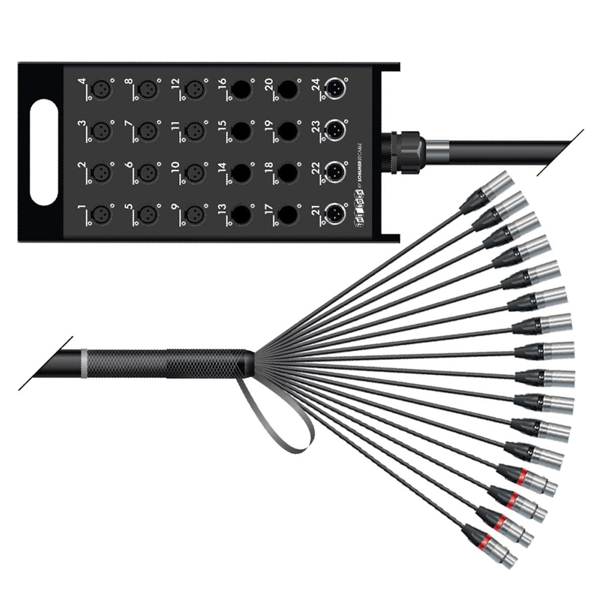 Stagebox <-> Multicore | 12/04 | THE BOXX | separate ground / QUANTUM | NEUTRIK XLR | NEUTRIK XLR |